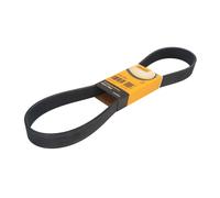 CONTITECH 10PK1070 Courroie Poly-V