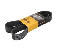 Courroie trapézoïdale à nervures CONTINENTAL 10PK1300