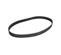 Courroie trapézoïdale à nervures CONTINENTAL 10PK1360