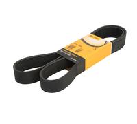 CONTITECH 10PK1526 Courroie Poly-V