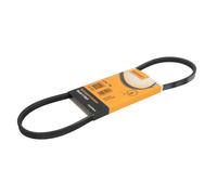 Courroie trapézoïdale à nervures CONTITECH 3PK775