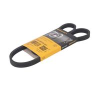 Courroie trapézoïdale à nervures CONTINENTAL 4PK1022 ELAST