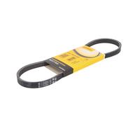 Courroie trapézoïdale à nervures CONTINENTAL 4PK753 ELAST