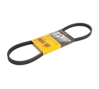Contitech 4PK820 Courroie Striée