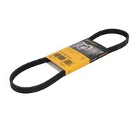 Continental Ceinture à nervures en V CONTITECH 4PK844 ELAST pour BMW 5/6/7
