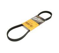 Courroie trapézoïdale à nervures CONTINENTAL 4PK867 ELAST