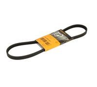 Courroie trapézoïdale à nervures CONTINENTAL 4PK896 ELAST