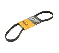 Continental Contitech 4PK917 ELAST Courroie trapézoïdale à nervures
