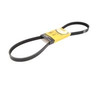 Contitech 5PK1121 EXTRA Courroie Striée