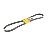 Courroie trapézoïdale à nervures CONTINENTAL 6 PK 1360