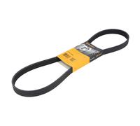 Continental Contitech 6PK1080 Courroie trapézoïdale à nervures