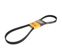 Continental Contitech 6PK1264 Courroie trapézoïdale à nervures