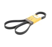 Courroie trapézoïdale à nervures CONTINENTAL 6PK1822 EXTRA
