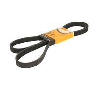 Courroie trapézoïdale à nervures CONTINENTAL 6PK1880