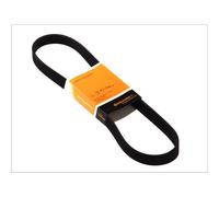 ContiTech Courroie trapézoïdale à nervures 6PK2135