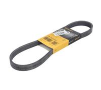 ContiTech Courroie trapézoïdale à nervures (Poly-V) 6PK852 ELAST