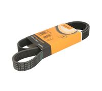 Courroie trapézoïdale à nervures CONTINENTAL 7PK1145