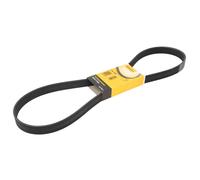 Courroie trapézoïdale à nervures CONTINENTAL 7PK1260