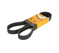 Courroie trapézoïdale à nervures CONTINENTAL 7PK1325