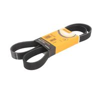 Courroie trapézoïdale à nervures CONTINENTAL 7PK1377