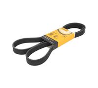 Courroie trapézoïdale à nervures CONTINENTAL 7PK1647