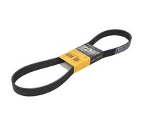 Courroie trapézoïdale à nervures CONTINENTAL 8PK1162 EXTRA