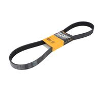 CONTITECH 8PK1165 Courroie Poly-V