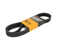 Courroie trapézoïdale à nervures CONTINENTAL 8PK1183