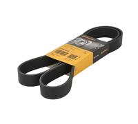 Courroie trapézoïdale à nervures CONTINENTAL 8PK1412
