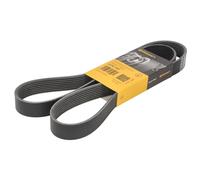 Courroie trapézoïdale à nervures CONTINENTAL 8PK1427