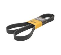 Courroie trapézoïdale à nervures CONTINENTAL 8PK1850