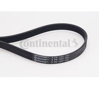 Contitech 5PK1207 Courroie Striée