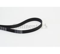 Courroie à nervures trapézoïdales CONTITECH 6PK1642