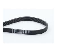 Continental Contitech 6PK1900 Courroie trapézoïdale à nervures