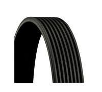 Courroie Trapézoïdale À Nervures Continental Ctam 8PK2585 pour Man Mercedes Benz