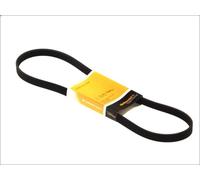 Courroie trapézoïdale à nervures CONTITECH 5PK1570 pour Y 1.2 2000-2003