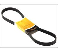 ContiTech Courroie trapézoïdale à nervures 6PK1059 ELAST