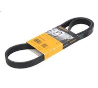 Courroie trapézoïdale à nervures CONTITECH 6PK122 pour CTS 2.8 2008-2009