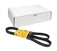 ContiTech Courroie Poly-V 6PK1653 pour Ford, VW, Renault, Citroën