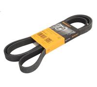 Courroie trapézoïdale à nervures CONTITECH 6PK2077 pour SEVILLE 4.6 2000-2004