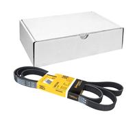ContiTech Courroie trapézoïdale à nervures 6PK2205 Poly-V