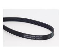 ContiTech Courroie trapézoïdale à nervures 6PK2271 Poly-V