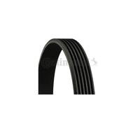 Continental Contitech 6PK2490 Courroie trapézoïdale à nervures