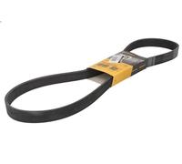 Courroie trapézoïdale à nervures CONTITECH 7PK1196 EXTRA pour GLC 2 2016-2018