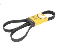 Courroie trapézoïdale à nervures CONTITECH 7PK177 pour FR-V (BE) 2 2005-2006