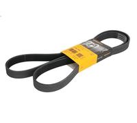 Courroie trapézoïdale à nervures CONTITECH 7PK1795 pour DUSTER (HS_) 2 2011-