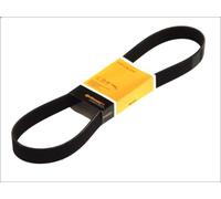 Courroie trapézoïdale à nervures CONTINENTAL 8PK2465