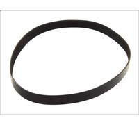Courroie trapézoïdale à nervures CONTITECH 9PK1920 pour ACTROS 11.946 1997-
