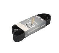 Courroie trapézoïdale à nervures DAYCO 10PK1145HD