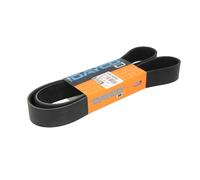 DAYCO 10PK1400HD Courroie Poly-V